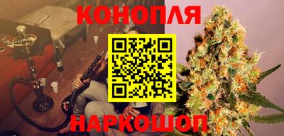 индика Железногорск