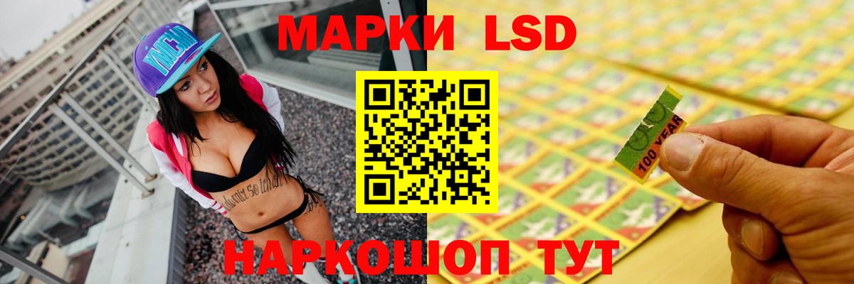 МЕГА зеркало  Вход с VPN  Новозыбков  Лсд 25 экстази кислота 