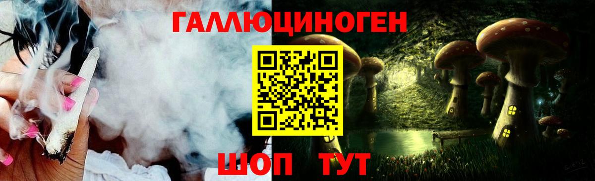 Псилоцибиновые грибы ЛСД  Вход с VPN  Новозыбков  Псилоцибиновые грибы Cubensis 